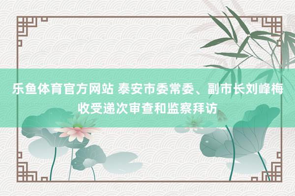乐鱼体育官方网站 泰安市委常委、副市长刘峰梅收受递次审查和监察拜访